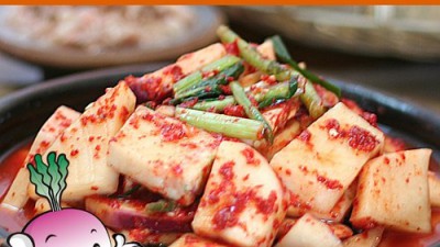 싱싱한 강화순무 특가 할인 중! 놓치지 마세요!
