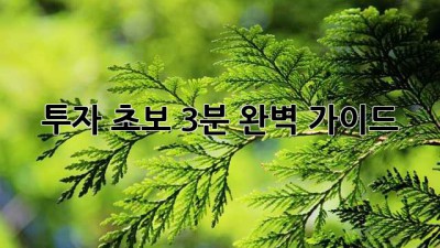 투자 초보, 3분 완벽 가이드!