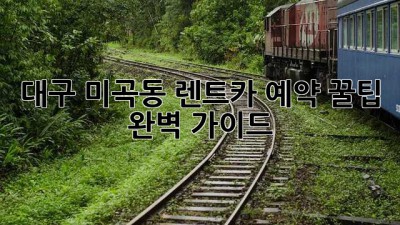 대구 미곡동 렌트카 예약 꿀팁! 완벽 가이드