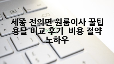 세종 전의면 원룸이사 꿀팁🍯 용달 비교 후기 & 비용 절약 노하우