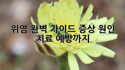 위염 완벽 가이드: 증상, 원인, 치료, 예방까지